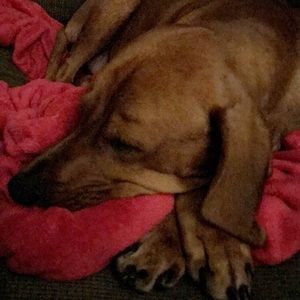 Meet your Posher, Alysia